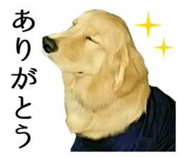 Sasuke-chan and Kojiro-chan sticker #14444823