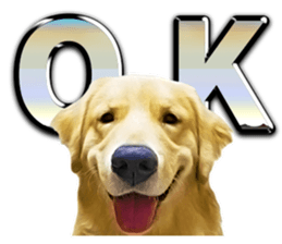 Sasuke-chan and Kojiro-chan sticker #14444824