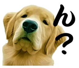 Sasuke-chan and Kojiro-chan sticker #14444825