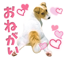 Sasuke-chan and Kojiro-chan sticker #14444826