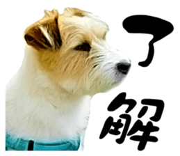 Sasuke-chan and Kojiro-chan sticker #14444828