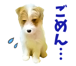 Sasuke-chan and Kojiro-chan sticker #14444829