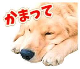 Sasuke-chan and Kojiro-chan sticker #14444830