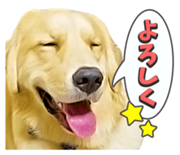 Sasuke-chan and Kojiro-chan sticker #14444831