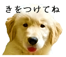 Sasuke-chan and Kojiro-chan sticker #14444834