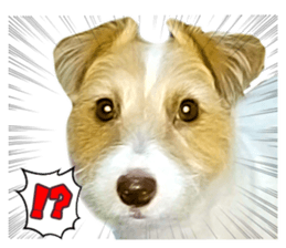 Sasuke-chan and Kojiro-chan sticker #14444835