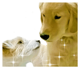 Sasuke-chan and Kojiro-chan sticker #14444837