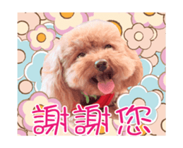 Poodle Queen3_a cute little girl sticker #14445734