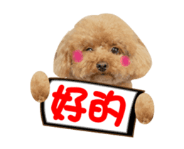 Poodle Queen3_a cute little girl sticker #14445737