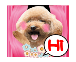 Poodle Queen3_a cute little girl sticker #14445743