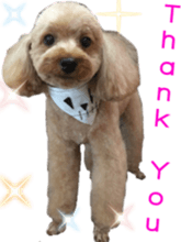 Bilingual dogs' stickers sticker #14449582