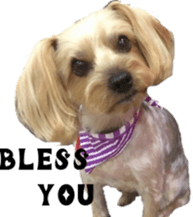 Bilingual dogs' stickers sticker #14449583