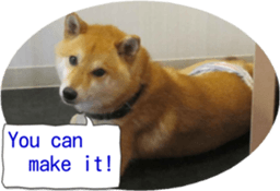 Bilingual dogs' stickers sticker #14449586