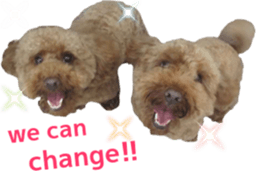 Bilingual dogs' stickers sticker #14449588