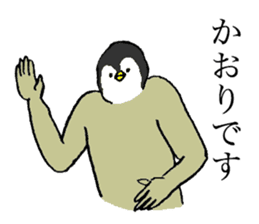Penguin's name is Kaori sticker #14450038