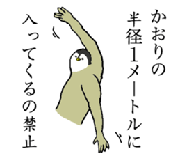 Penguin's name is Kaori sticker #14450052