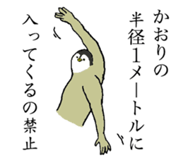 Penguin's name is Kaori sticker #14450052