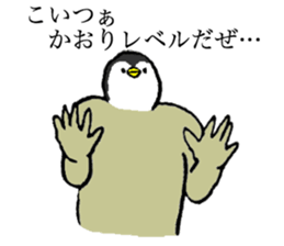 Penguin's name is Kaori sticker #14450067