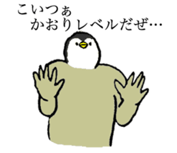 Penguin's name is Kaori sticker #14450067