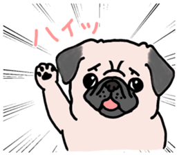 Sticker of the season of PUG sticker #14450625