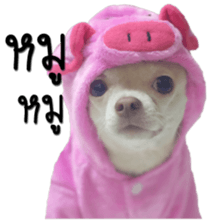 Melody dog sticker #14451678