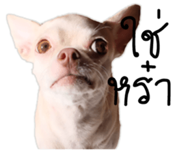 Melody dog sticker #14451680