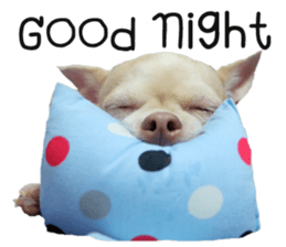 Melody dog sticker #14451683