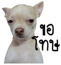 Melody dog sticker #14451685