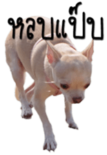 Melody dog sticker #14451695