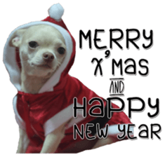 Melody dog sticker #14451699