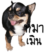 Melody dog sticker #14451700