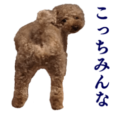 Momotaro! sticker #14452775