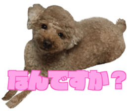 Momotaro! sticker #14452776