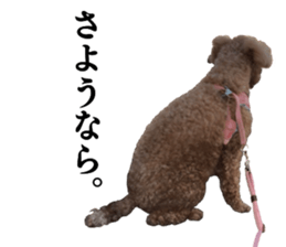 Momotaro! sticker #14452780