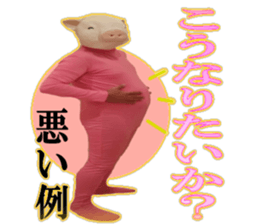 Did you see the Kimobuta? sticker #14453254