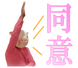 Did you see the Kimobuta? sticker #14453259