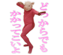 Did you see the Kimobuta? sticker #14453266