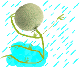 Muskmelon must be sweet sticker #14454657