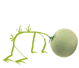 Muskmelon must be sweet sticker #14454658