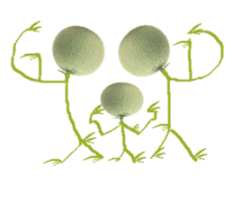 Muskmelon must be sweet sticker #14454659