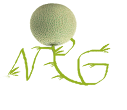 Muskmelon must be sweet sticker #14454660