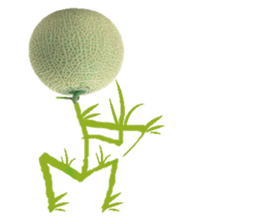 Muskmelon must be sweet sticker #14454672