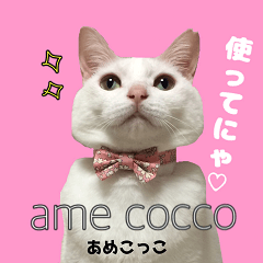 ame cocco