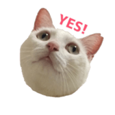 ame cocco sticker #14455374