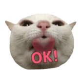 ame cocco sticker #14455376