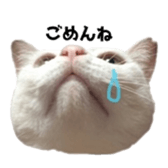 ame cocco sticker #14455378