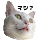 ame cocco sticker #14455379