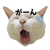 ame cocco sticker #14455380