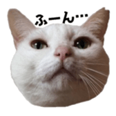 ame cocco sticker #14455381