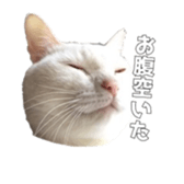 ame cocco sticker #14455383